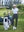 Model on course holding club and bag in Women's 7/8 ankle golf track pants, navy